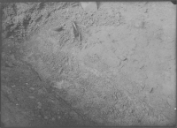 Vadstena Klosterkyrka