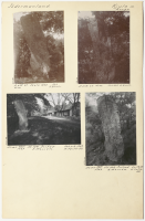 Berga. Runsignum Sö 104