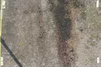 Litsleby Forskningshällen