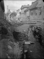 Nyköping, Franciskanerklostrets ruin