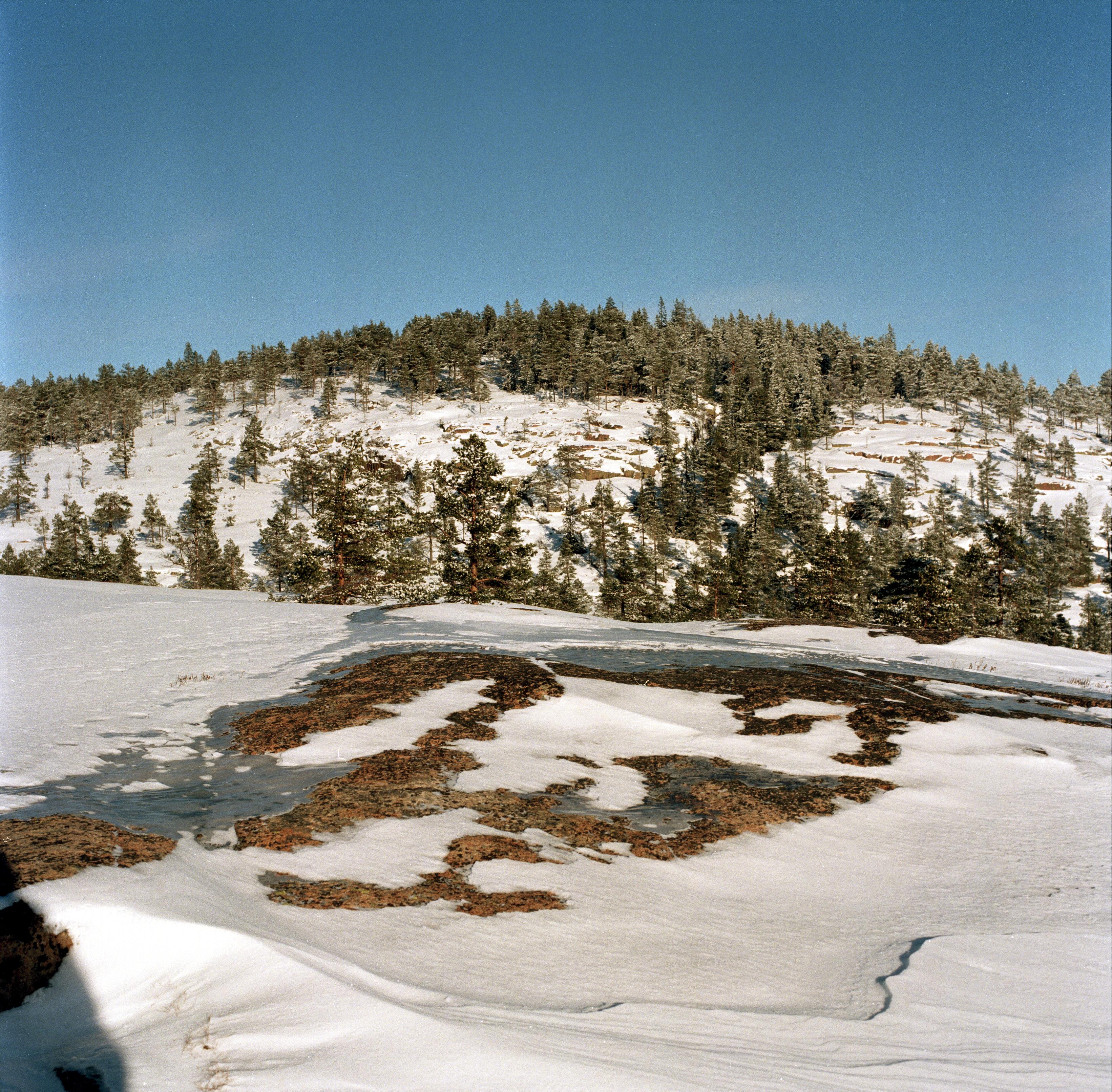 Bengt A Lundberg, Skuleskogens Nationalpark