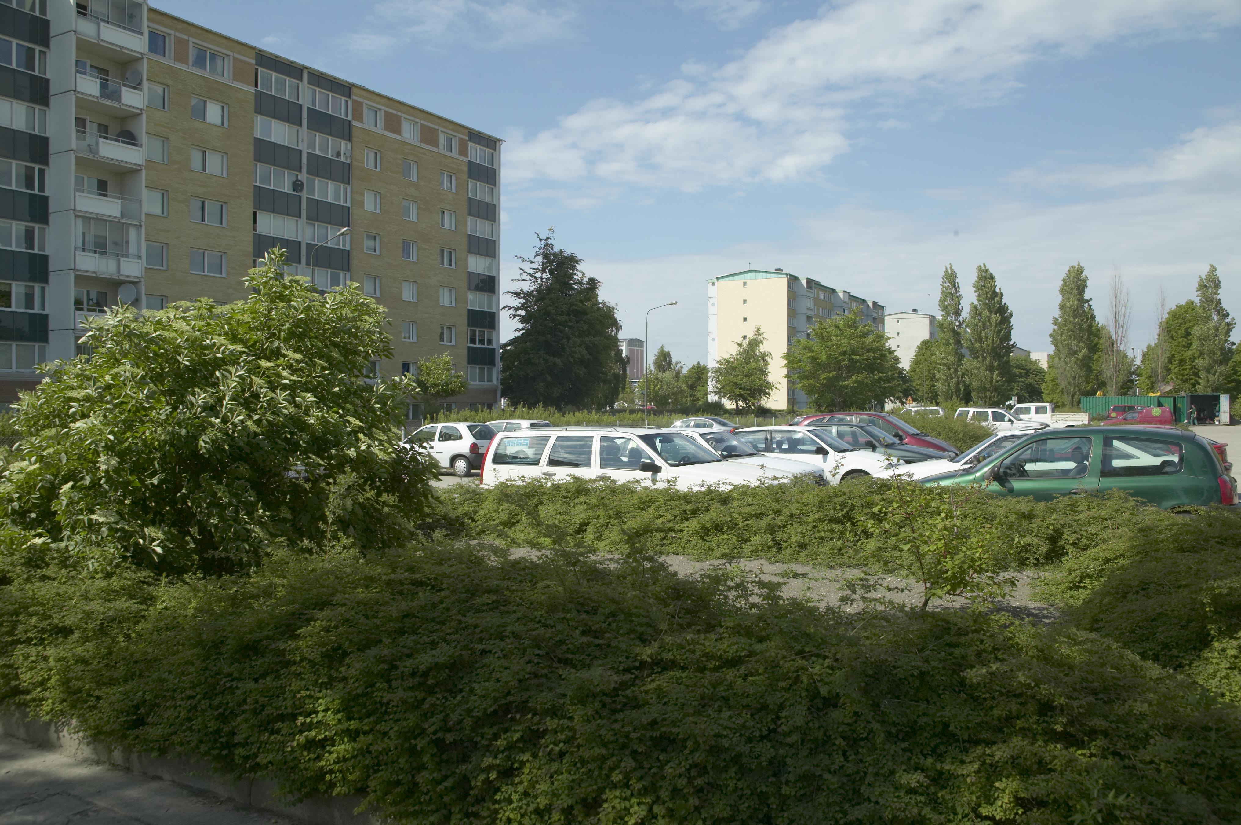 Bengt A Lundberg, Holma