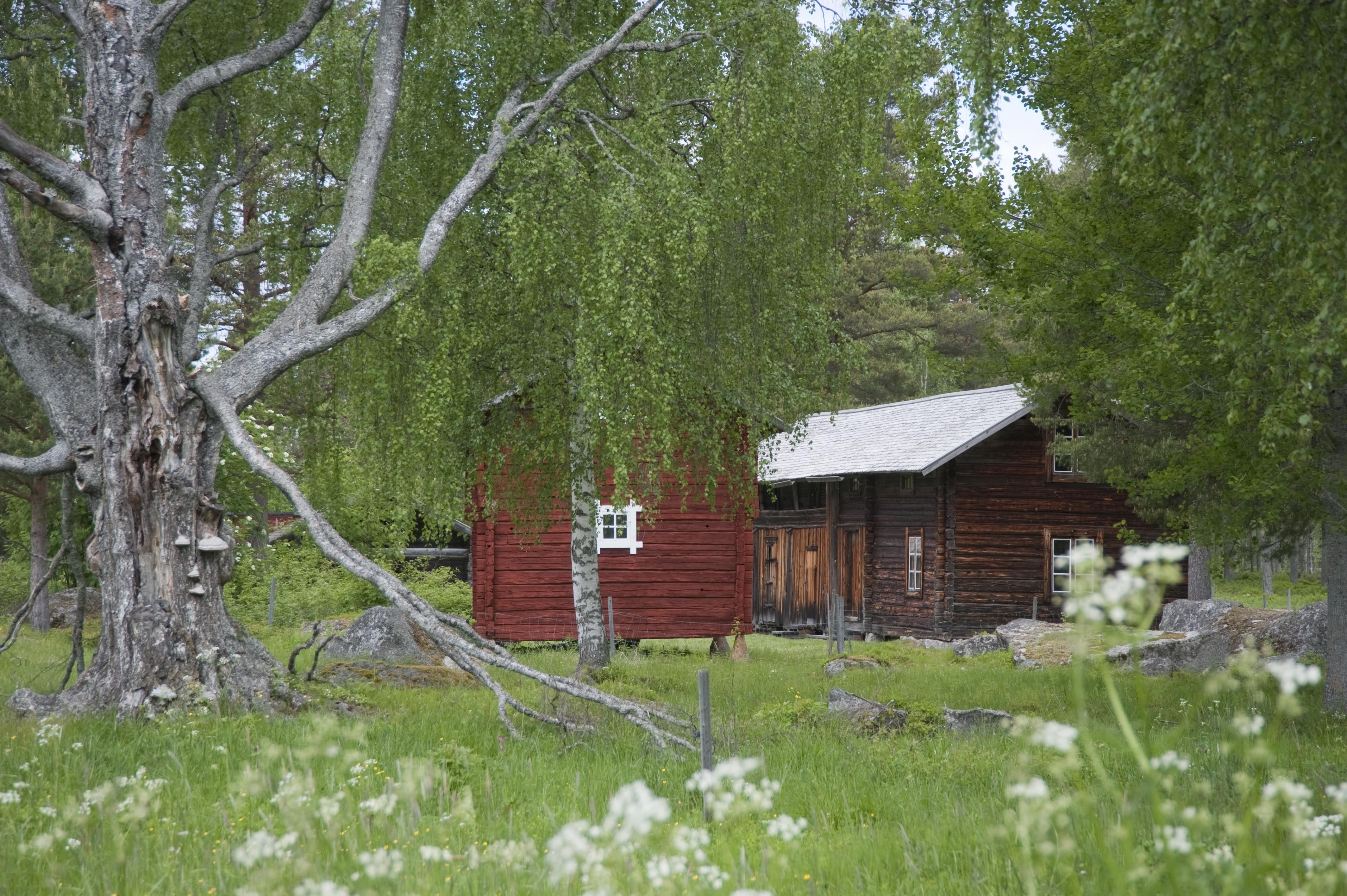 Bengt A Lundberg, Ljusdal Fågelsjö 1:1
