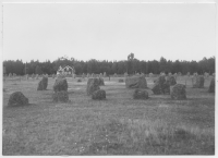Järnåldersgravfältet vid Ågårds forsar, nära Nissan
