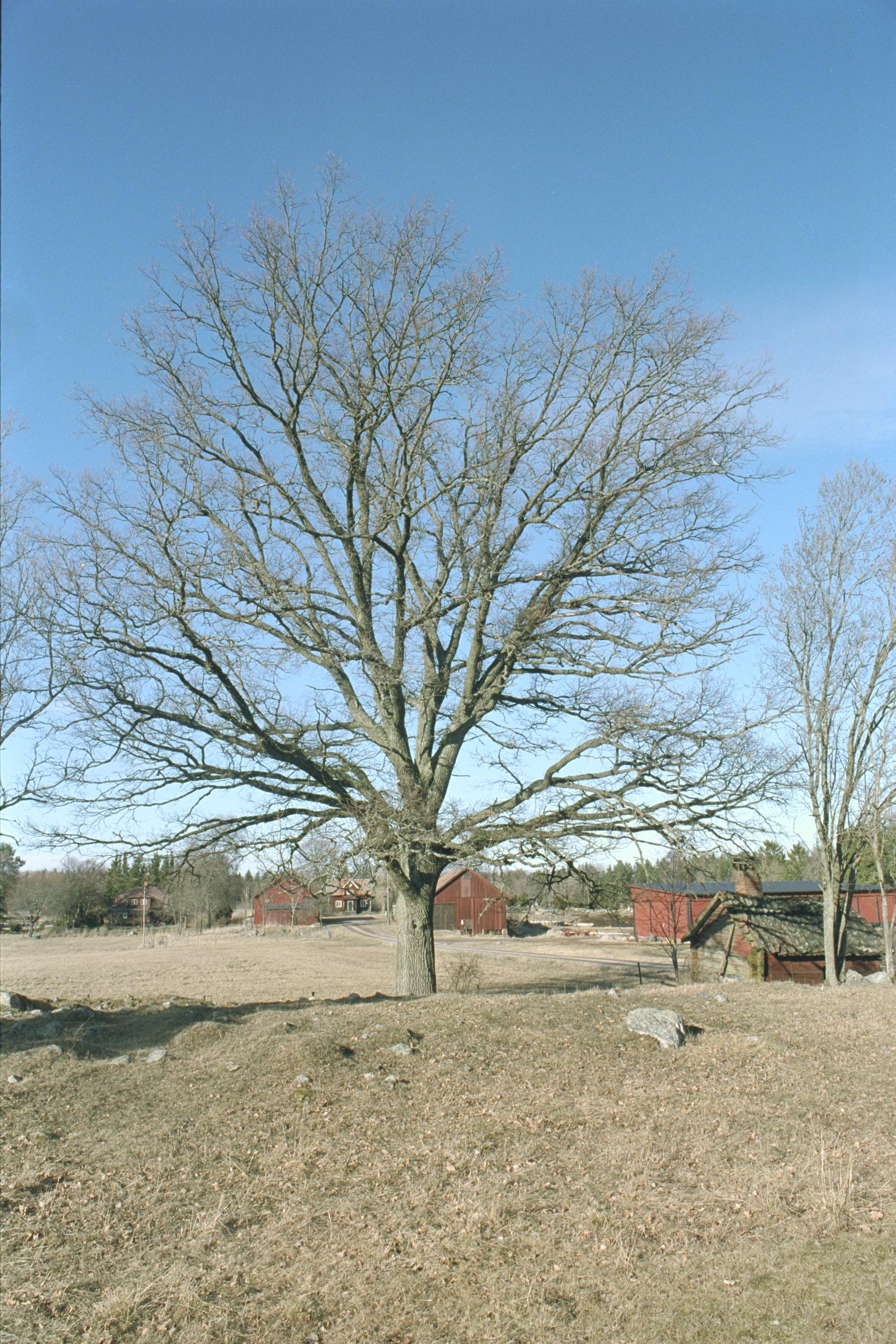 Bengt A Lundberg, Broddbo gård