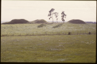 Stora Köpinge 3:1-3