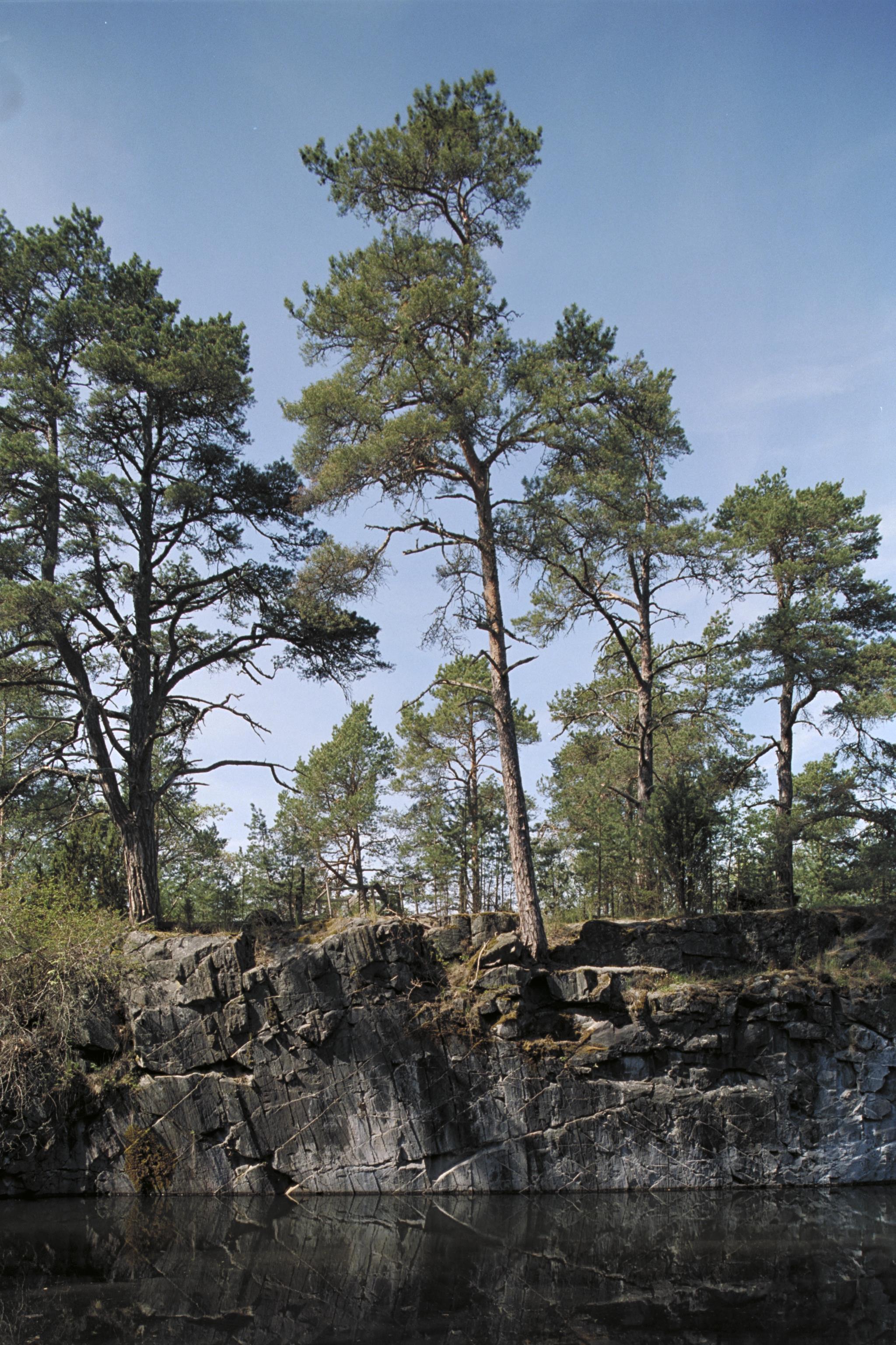 Bengt A Lundberg, Utö gruvor