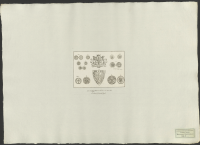 [Örebro sigiller och mynt].[Bild]