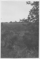 Rååns dalgång I bakgrunden Kvistofta kyrka