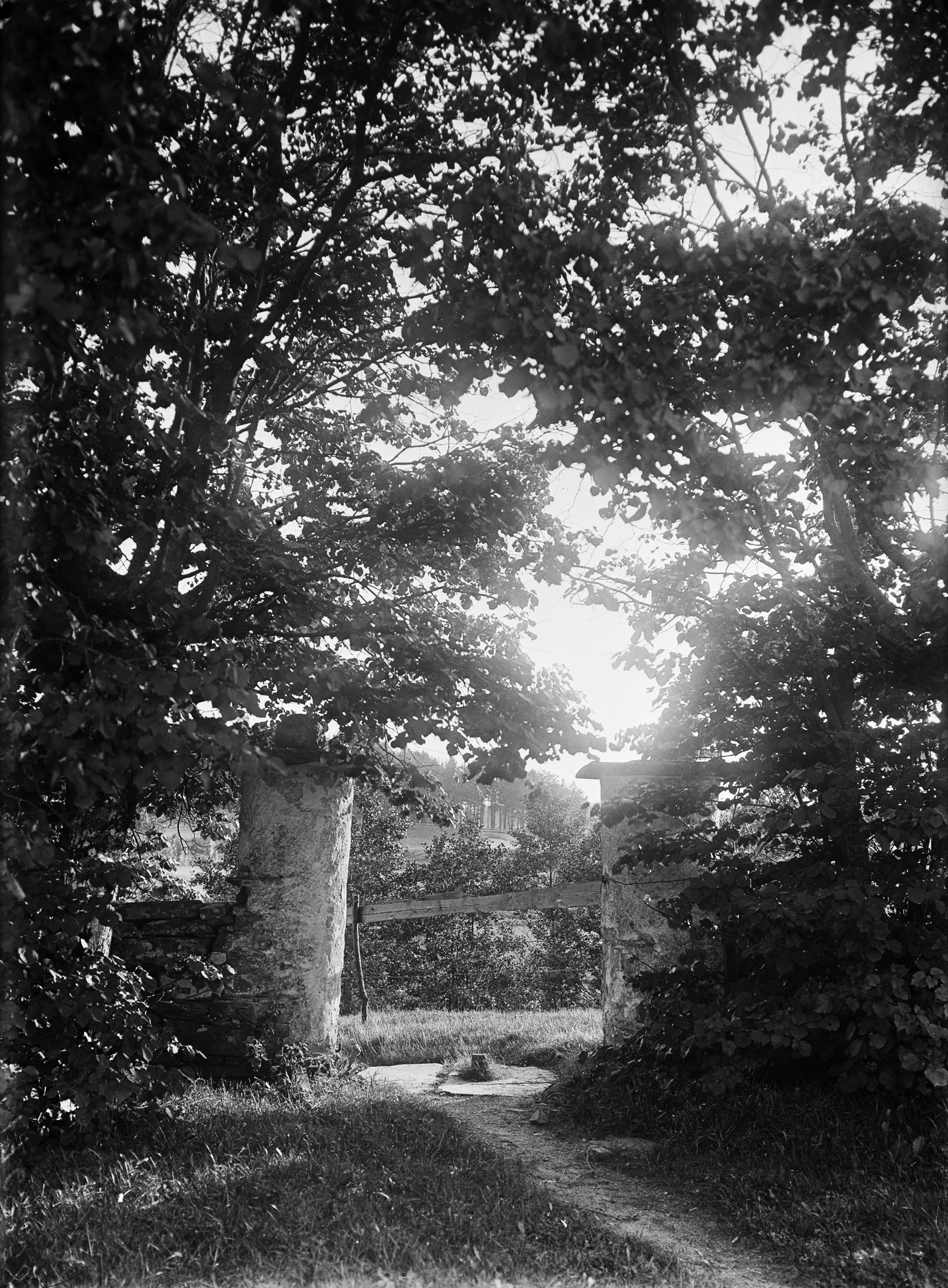 Henrik Cornell, Hyssna gamla kyrka