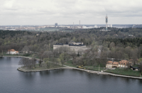 Södra Djurgården