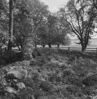 Tierp, Husbyborgs kyrkoruin