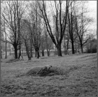 Stockholm, Johanneshovs kolerakyrkogård