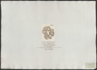 Åtta stycken små gullringar uppträdda på ett smalt och krokigt gullband fundna i Vestergötland.