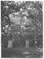 Hammars äng bildstenar