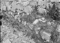 Sigtuna, Sankt Olofs kyrkoruin