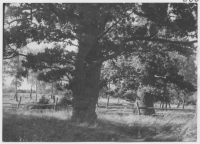 Värnanäs herrgård