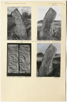 Aspa. Runsignum Sö 137