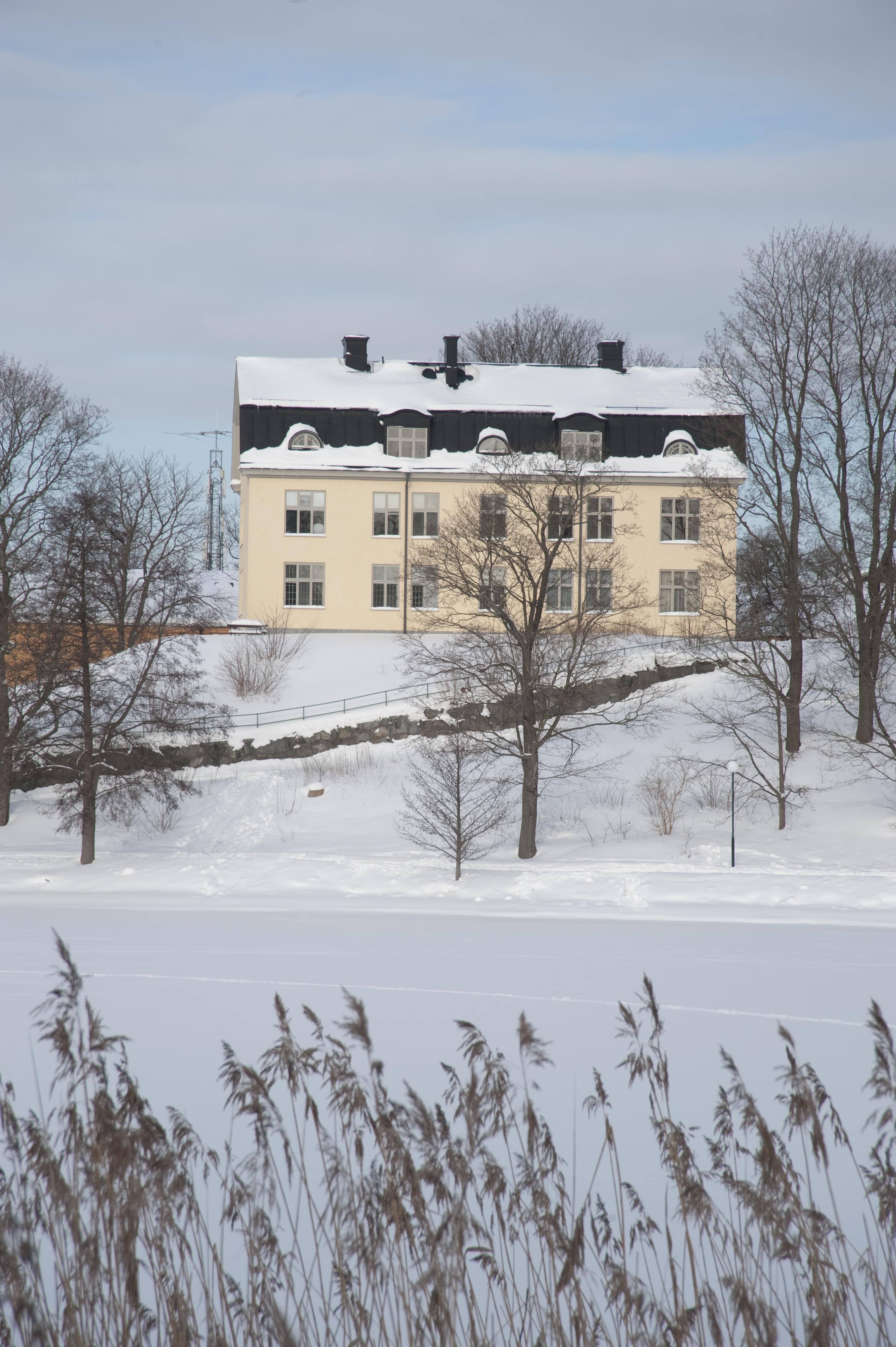 Bengt A Lundberg, Djurgården