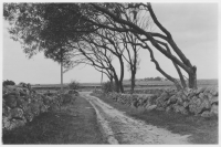 Torpa socken, stengärdesgårdar