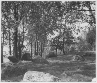 Tormansbål, järnåldersgravfält