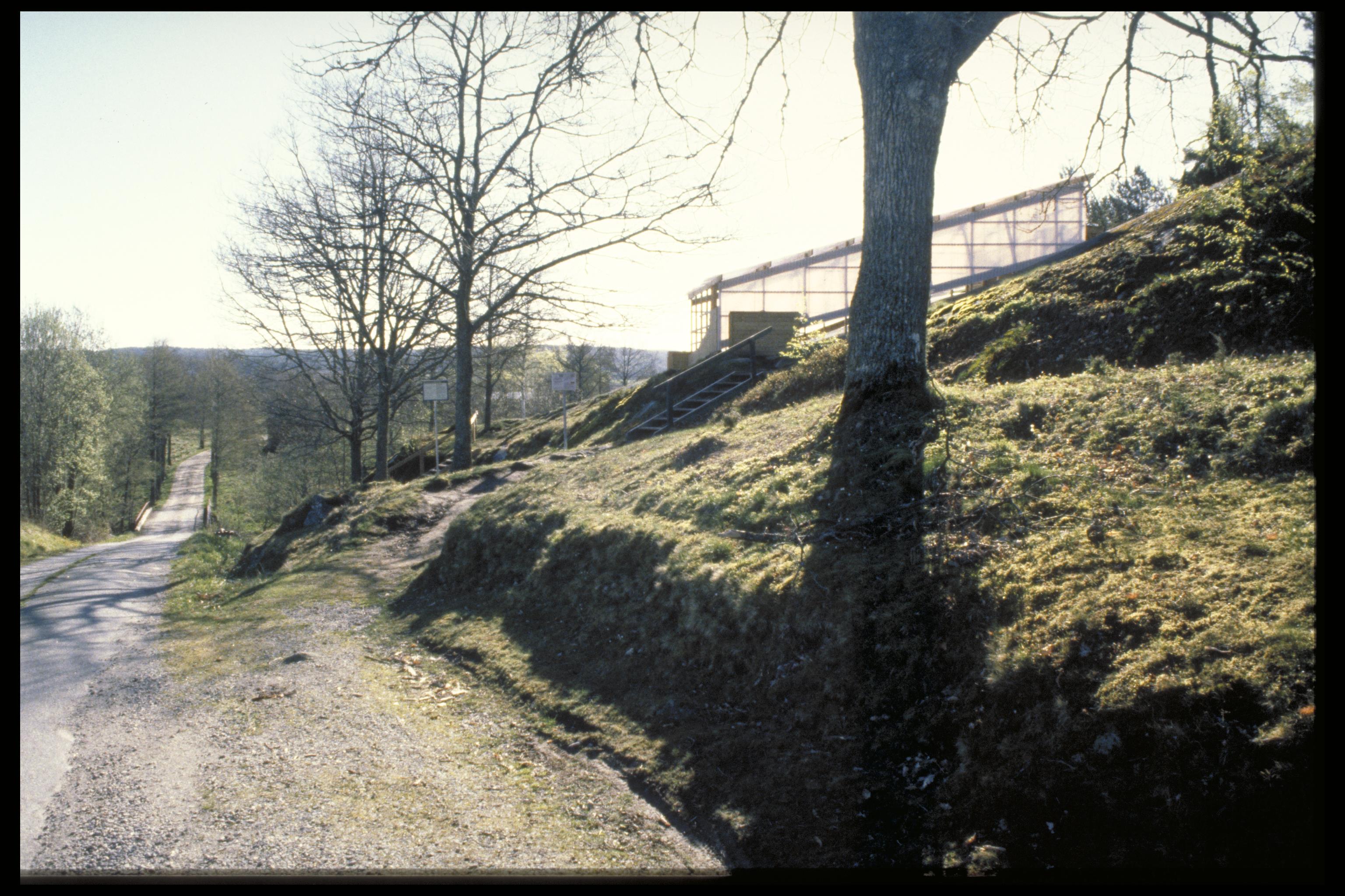 Bengt A Lundberg, Aspebergets hällristningsområde
