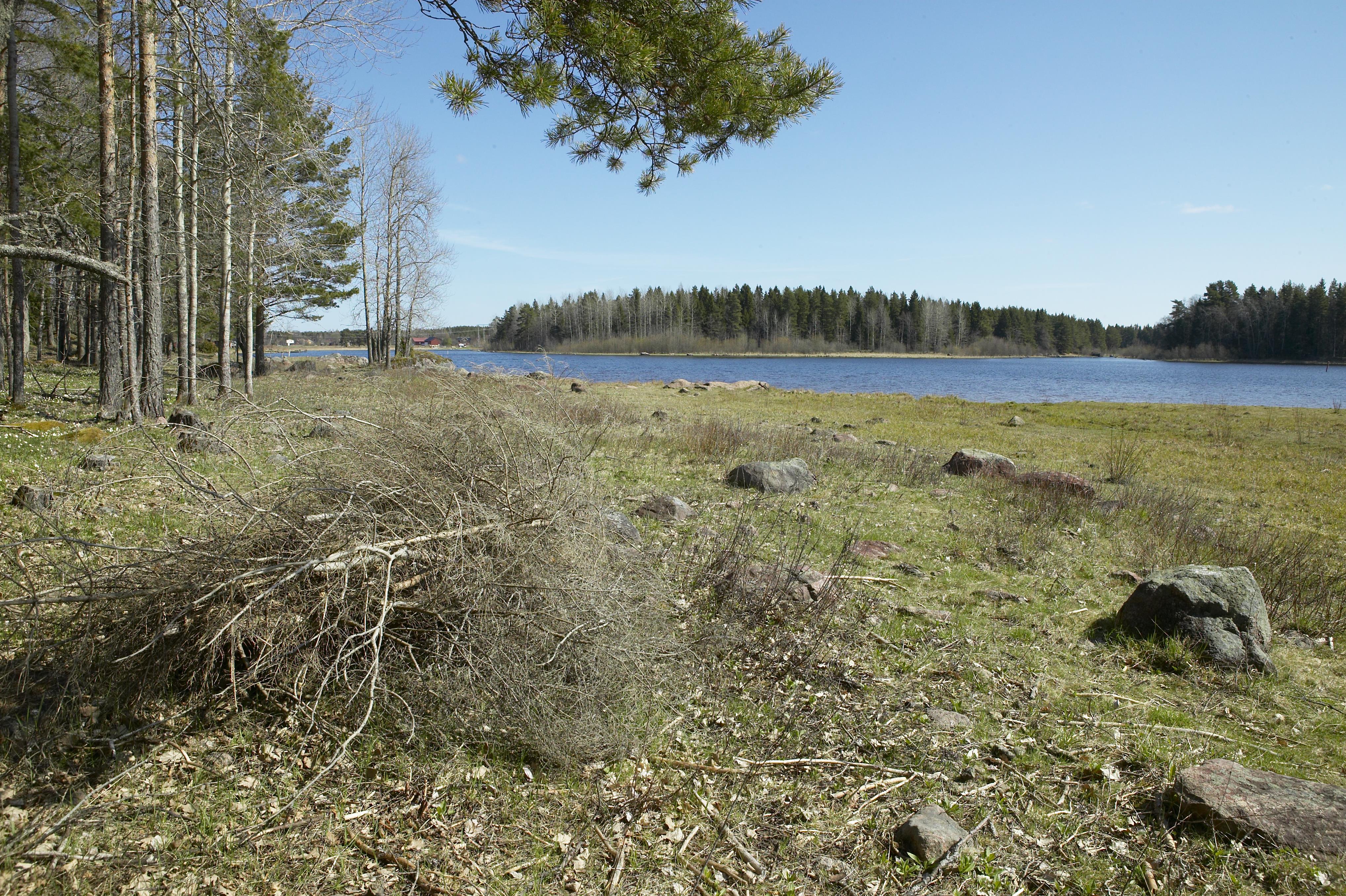 Bengt A Lundberg, Bredforsen