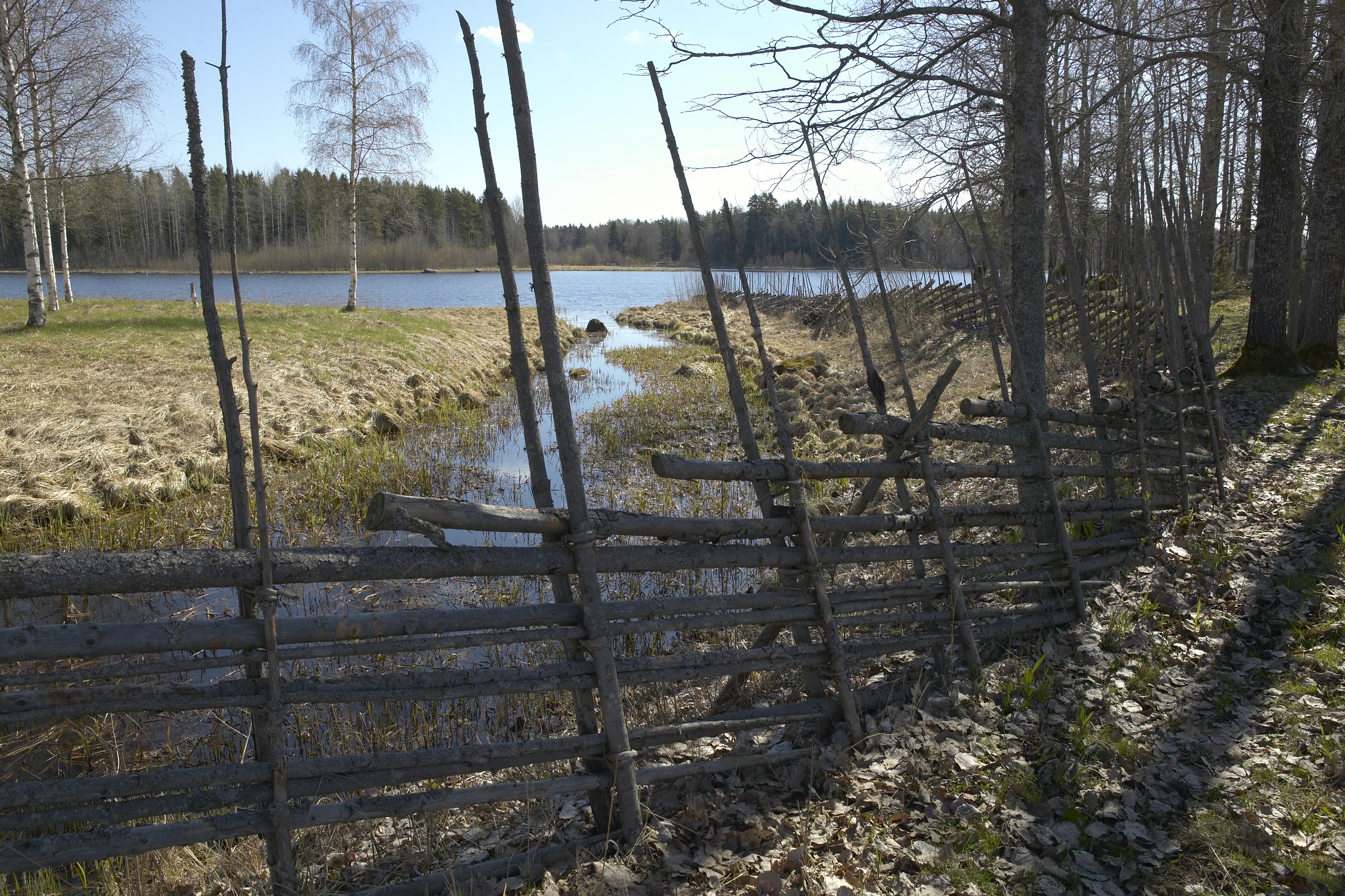 Bengt A Lundberg, Bredforsen