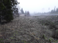 Landön undersökningsområde