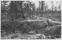 Terrängen omkring Lilla Luleälv (i närheten av järnvägen)