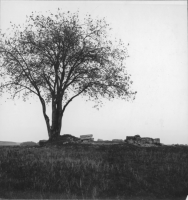 Vintrosa, Granhammars kyrkoruin