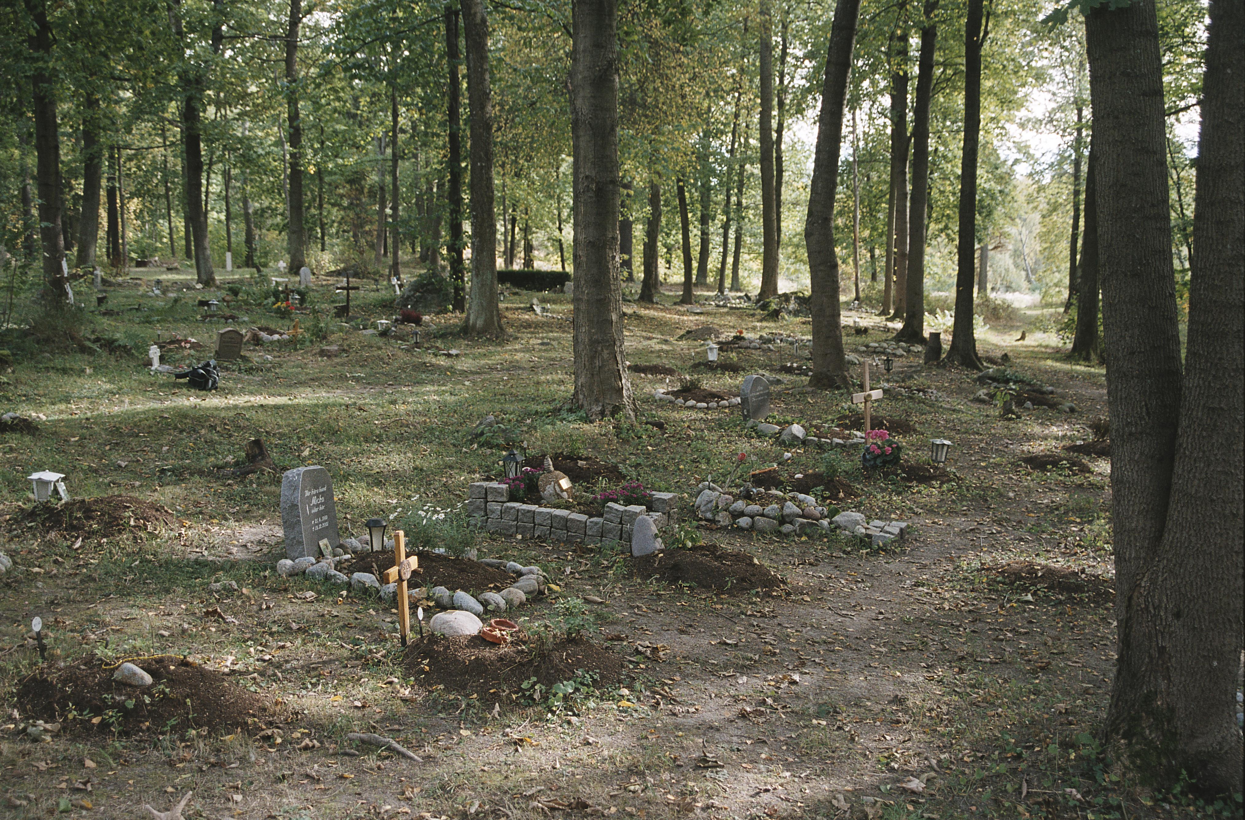 Bengt A Lundberg, Djurkyrkogården vid Kaknäs