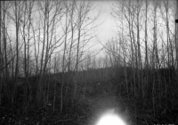 Njurunda, Kvitsle kyrkoruin