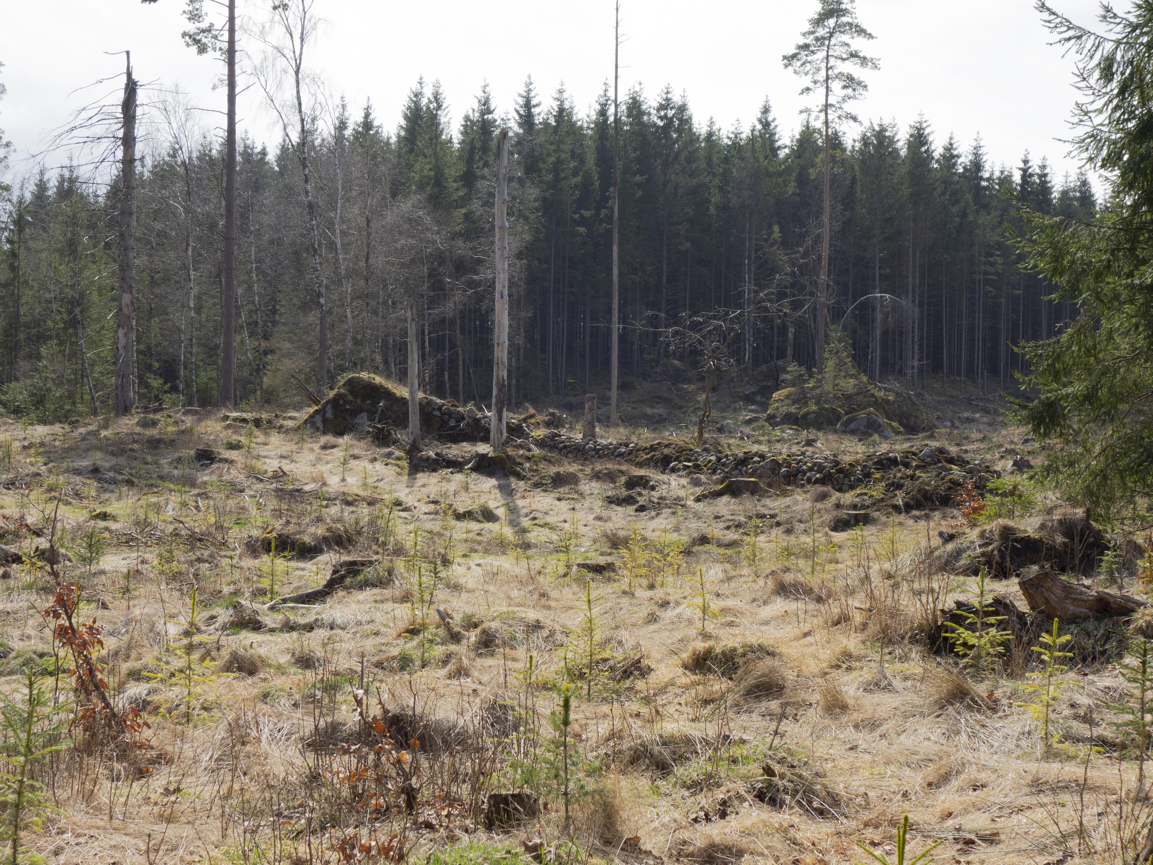Leif Gren, Femsjö 71:1