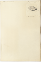 Norrby. Runsignum Sö 267