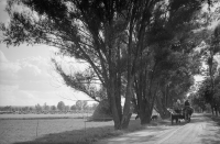 Landsvägen Lännäs-Segersjö