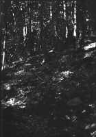 Bad Kissingen, Bayern