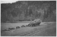 Oxspann vid Skåle klints fot