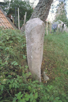 Image of Ög 209