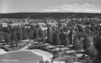 Umeå