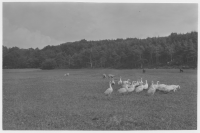 Slöinge socken, ängar