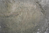 Image of Sö Sb1965;19