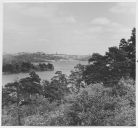 Stockholm, Årstaskogen, Årstaviken