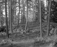 Runsa, Färjkarlstorp