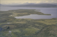 Kiepanjaure - Giehpangielas