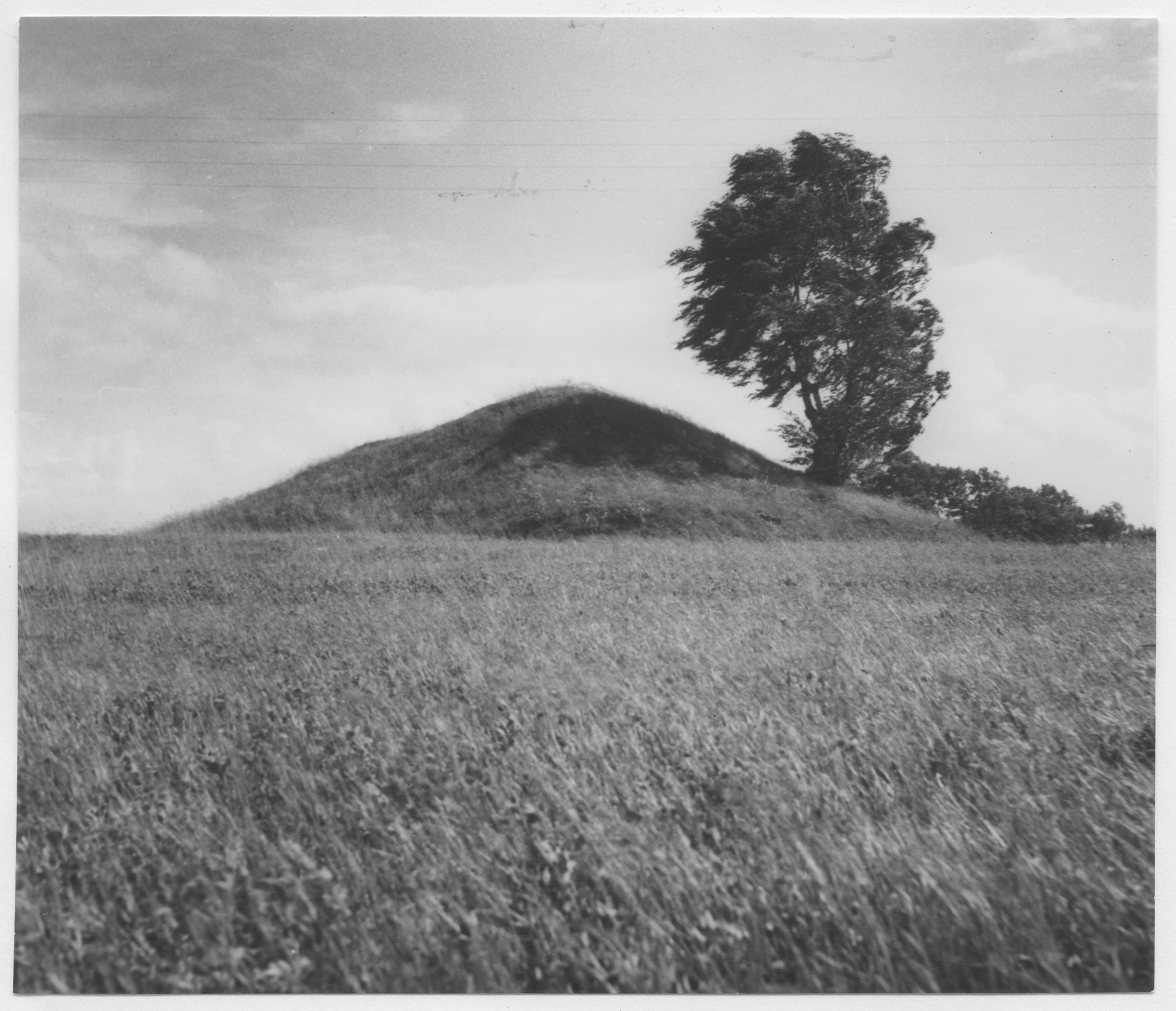 Mårten Sjöbeck, Rolfshögarna