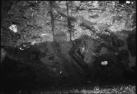 Alvastra pålbyggnad