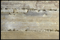 Image of Or Barnes20