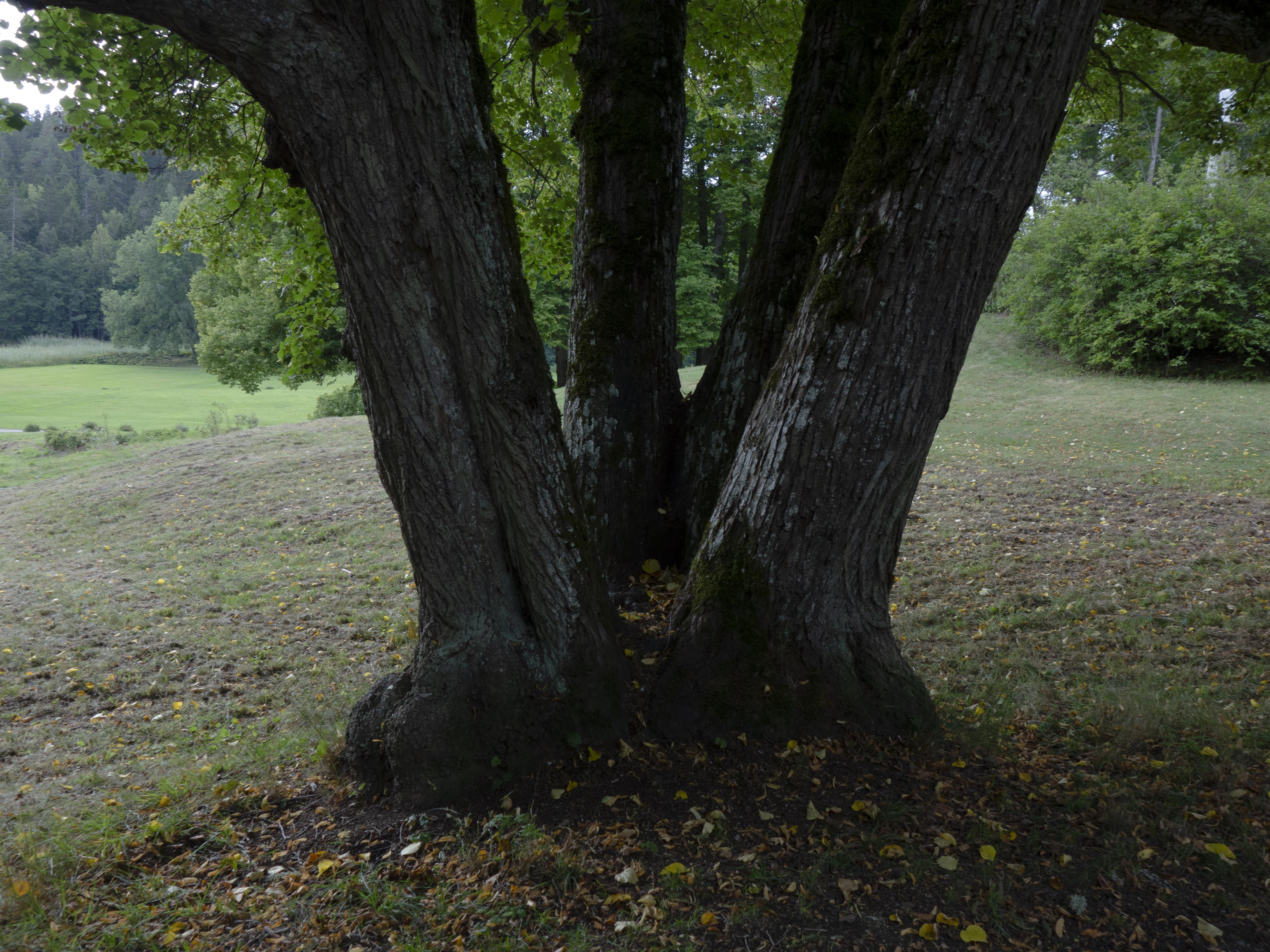 Leif Gren, Tyresö slottspark