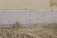 Hönsäters herrgård